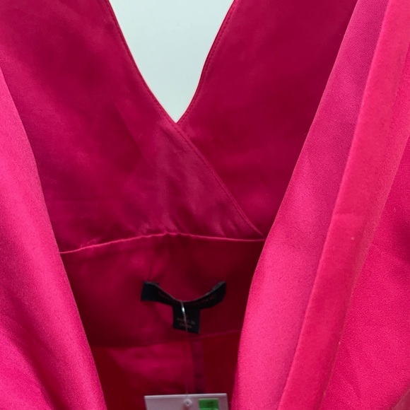 Banana Republic Fuchsia Mini Dress - Picture 6 of 11